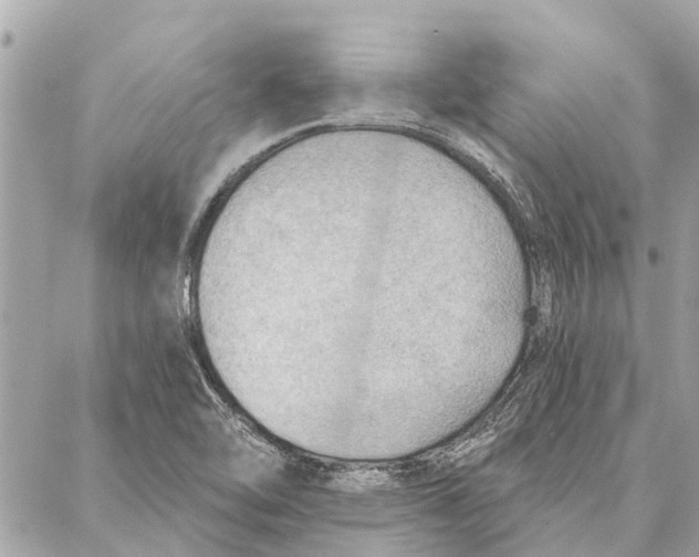 X0000086931462200705071341