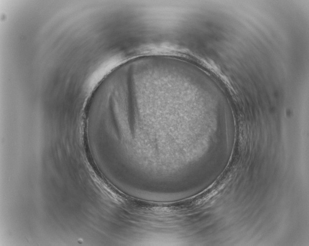 X0000086931463200705071341