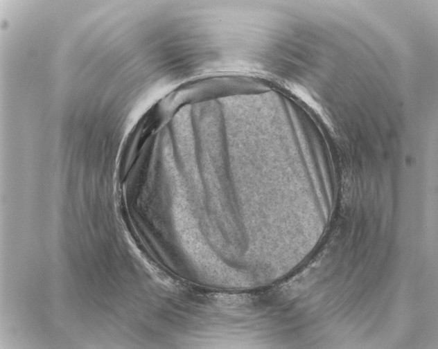 X0000086931469200705071341