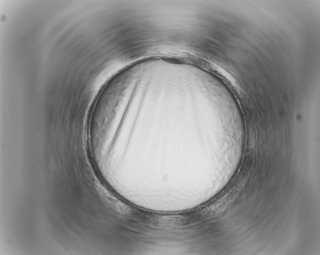 X0000086931471200705071341