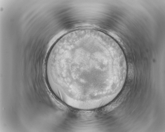 X0000086931474200705071341