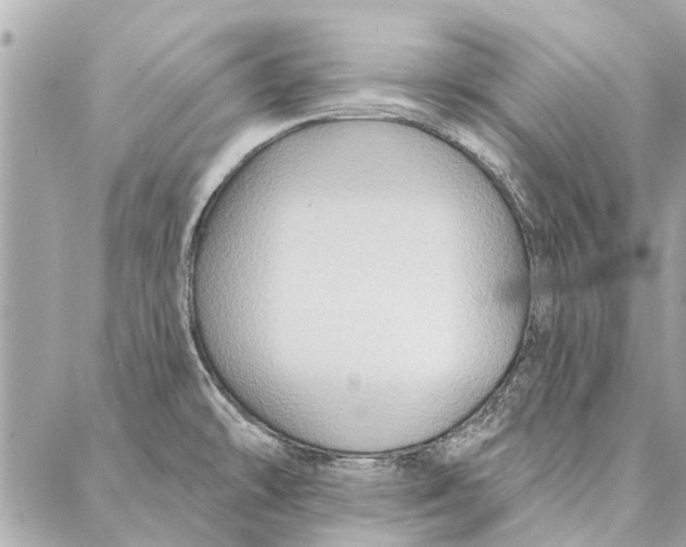 X0000086931478200705071341