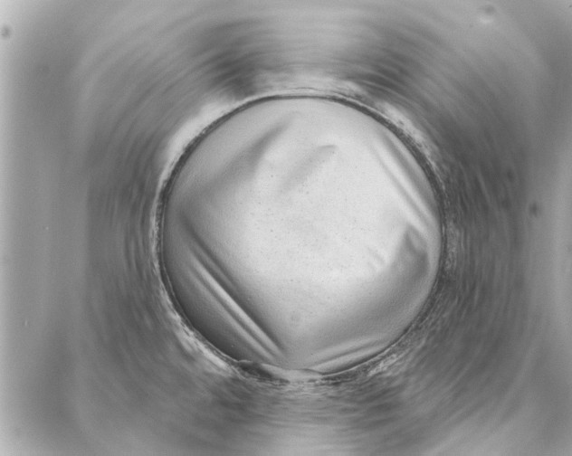 X0000086931480200705071340