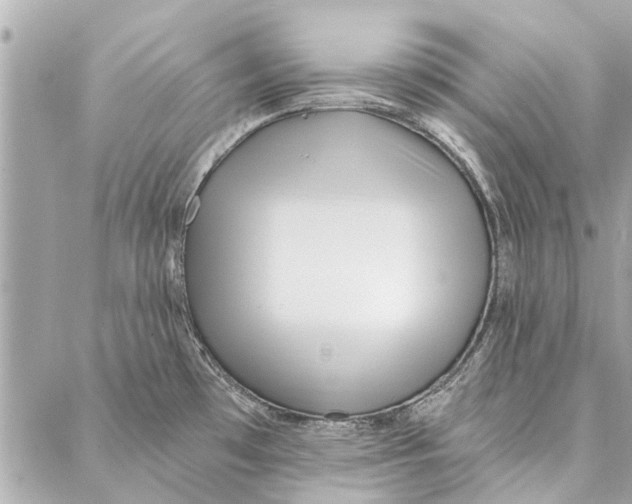 X0000086931481200705071340