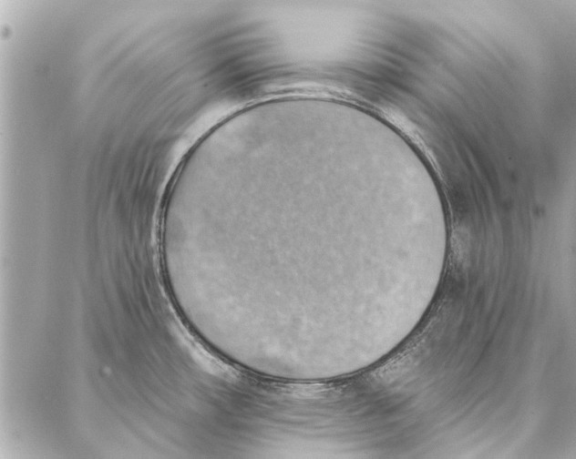 X0000086931482200705071340