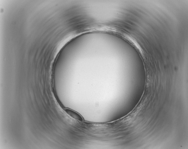 X0000086931483200705071340