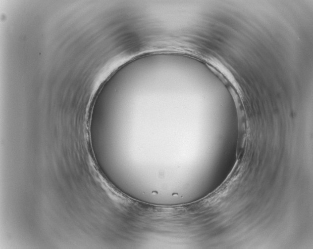 X0000086931485200705071340