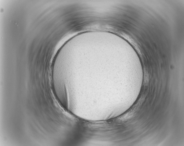 X0000086931486200705071340