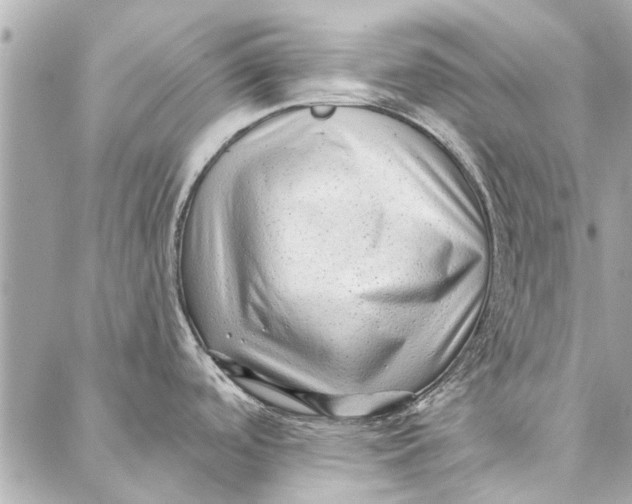 X0000086931488200705071340