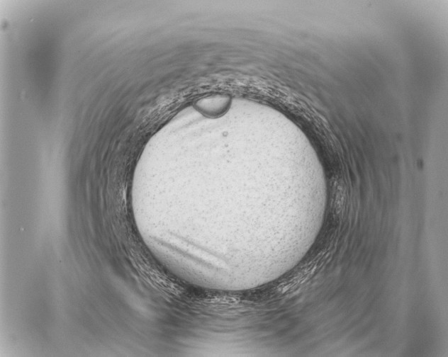 X0000086931489200705071340