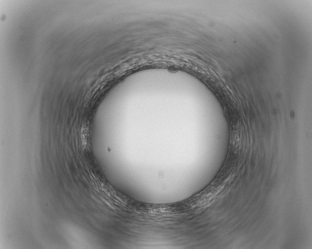 X0000086931490200705071340