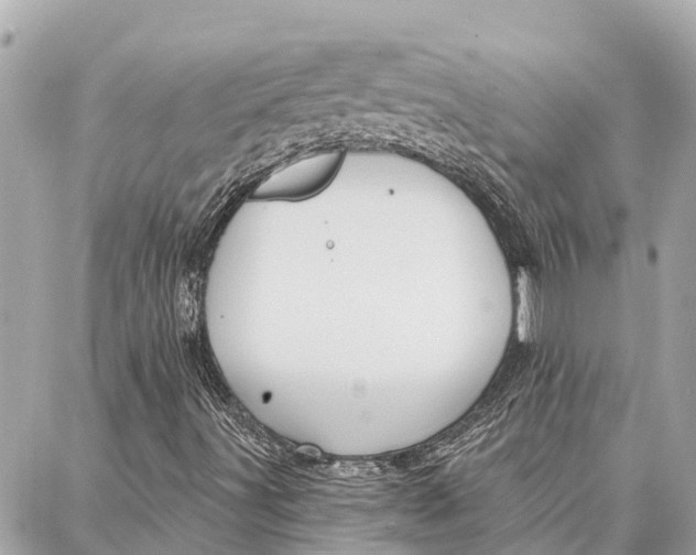 X0000086931491200705071340