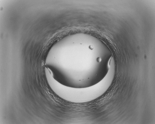 X0000086931492200705071340