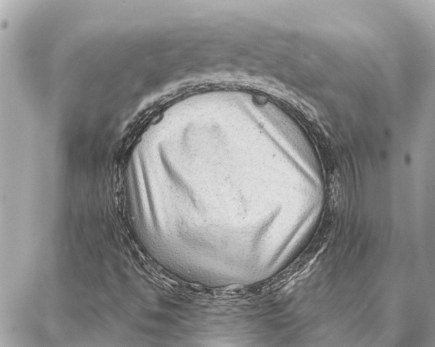 X0000086931494200705071340