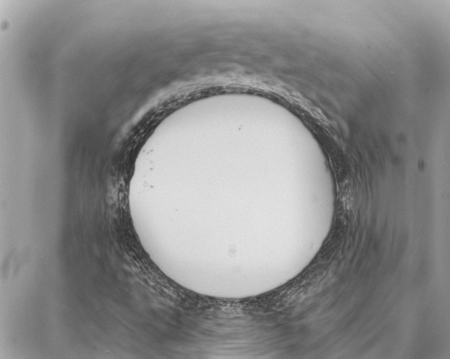 X0000086931495200705071340