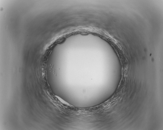 X0000086931496200705071340