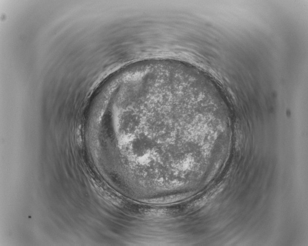 X0000086931497200705071340