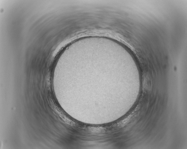 X0000086931498200705071340