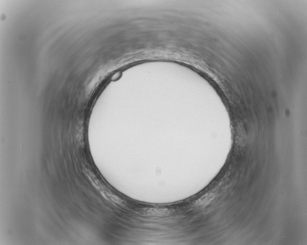 X0000086931499200705071340