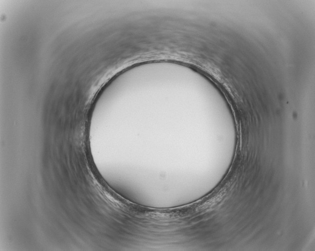 X0000086931500200705071340