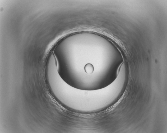 X0000086931502200705071340