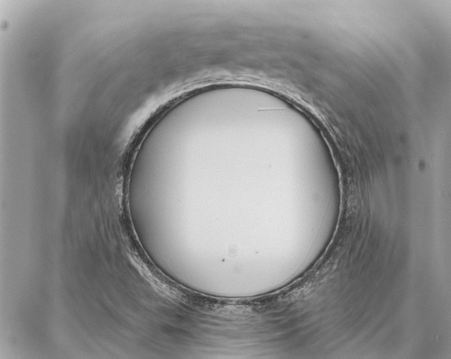 X0000086931503200705071340