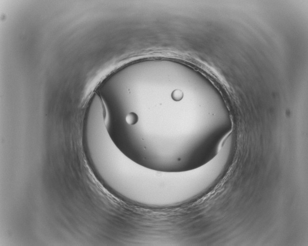 X0000086931504200705071340