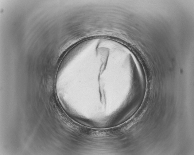 X0000086931505200705071340