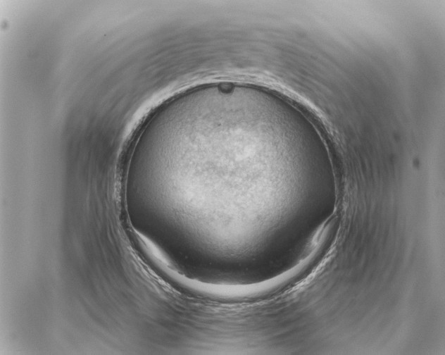 X0000086931506200705071340