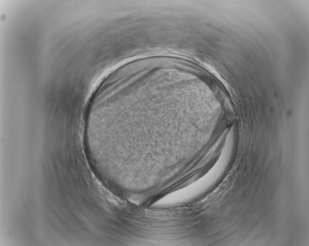 X0000086931508200705071340