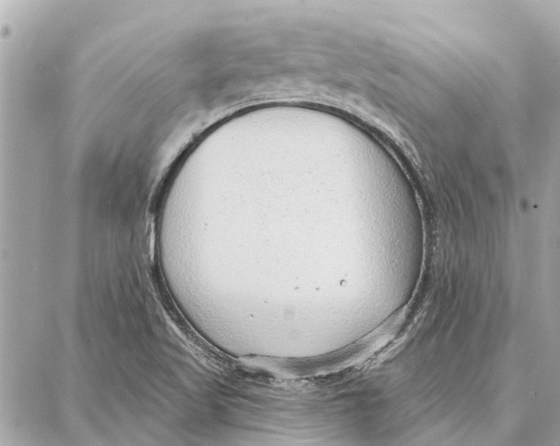 X0000086931509200705071340