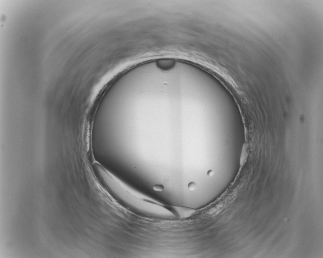 X0000086931510200705071340