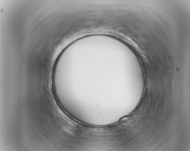 X0000086931512200705071340