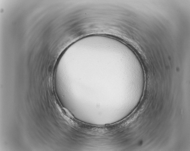 X0000086931513200705071340