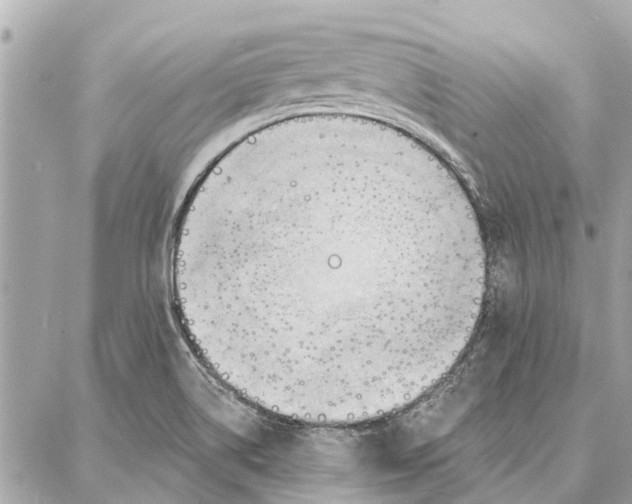 X0000086931514200705071340