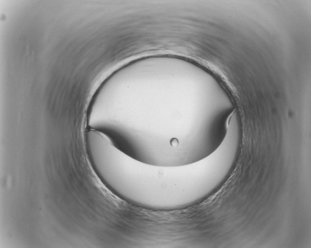 X0000086931516200705071340