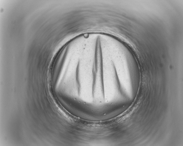 X0000086931517200705071340