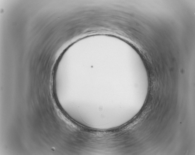 X0000086931518200705071340