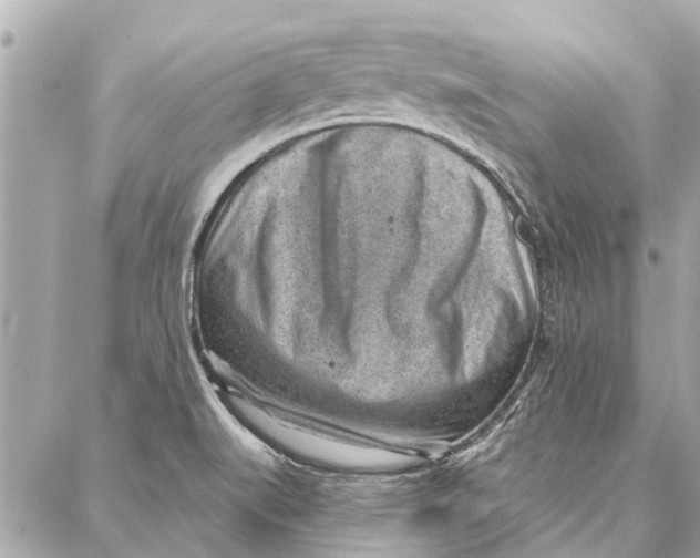 X0000086931519200705071340