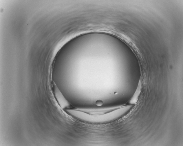 X0000086931520200705071340