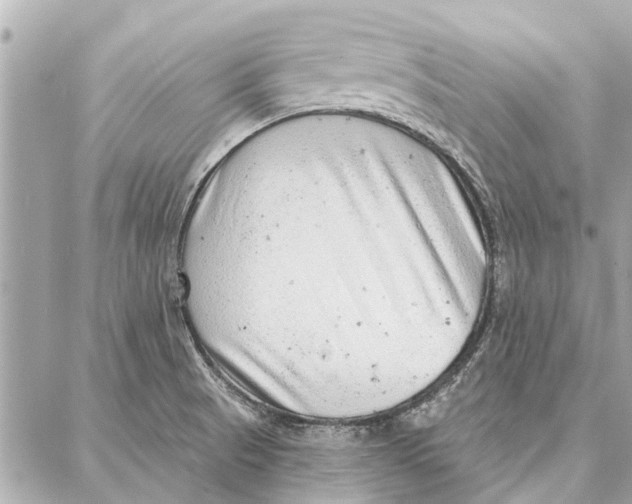 X0000086931521200705071340