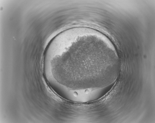 X0000086931522200705071340