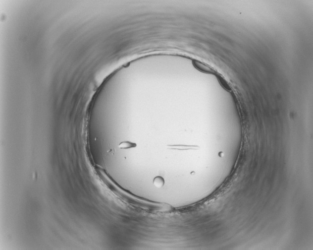 X0000086931526200705071340