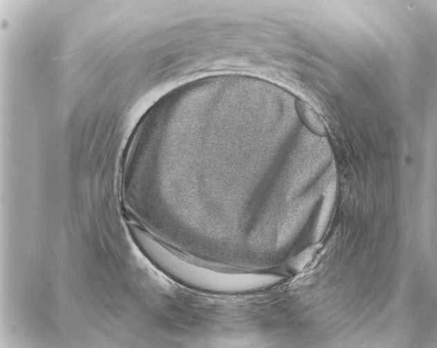 X0000086931527200705071340