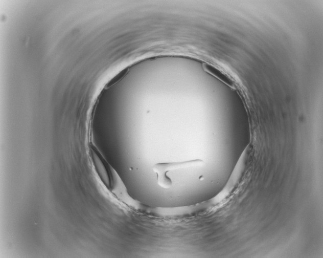 X0000086931528200705071340