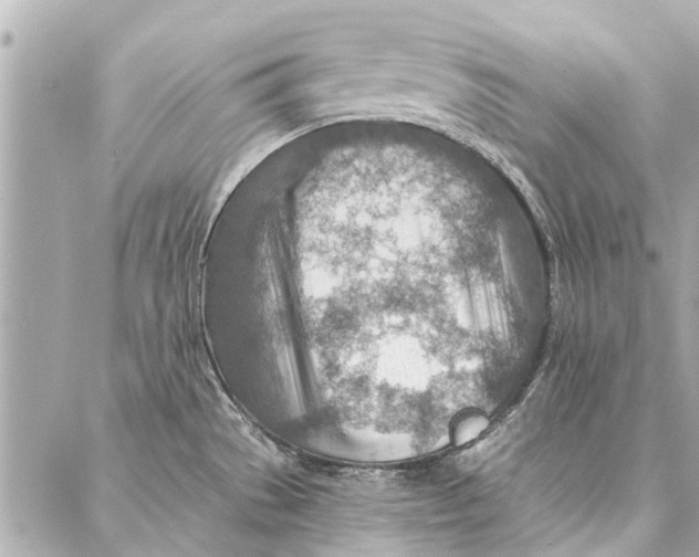 X0000086931529200705071340