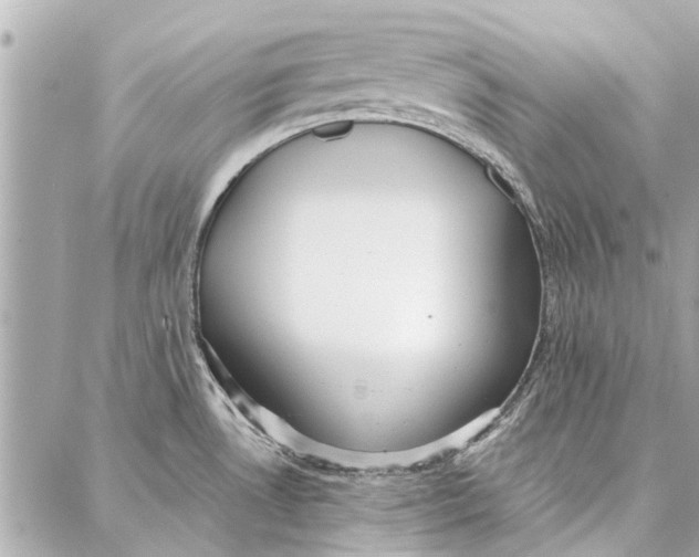 X0000086931530200705071340