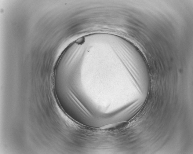 X0000086931531200705071340