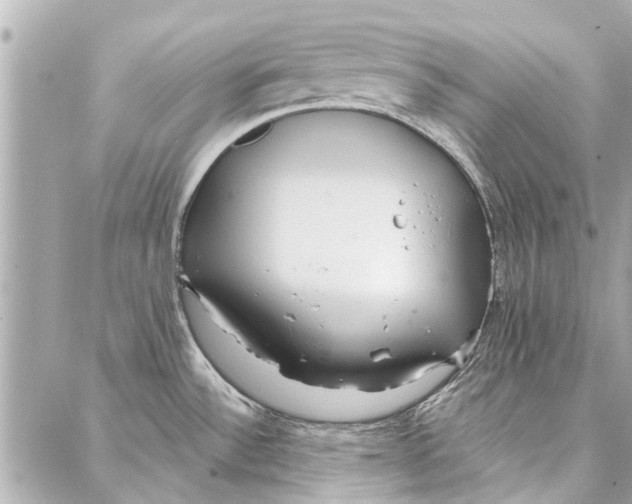 X0000086931532200705071340