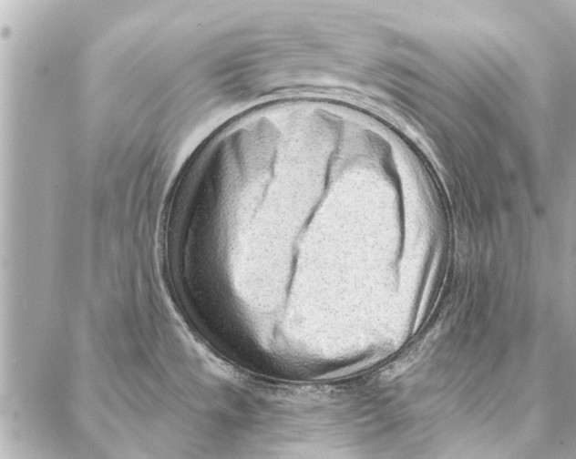 X0000086931533200705071340